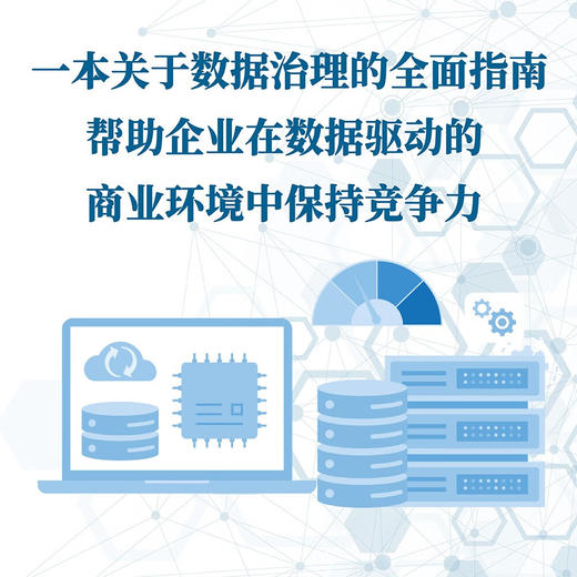 数据治理 : 制度体系建设和数据价值提升  数据资产管理丛书 商品图3