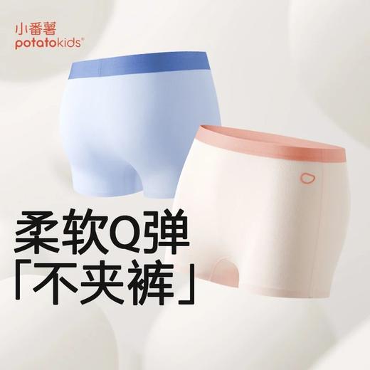 【特价爆款】小番薯PotatoKids儿童壳聚糖内裤排汗透气舒适平角内裤 商品图6