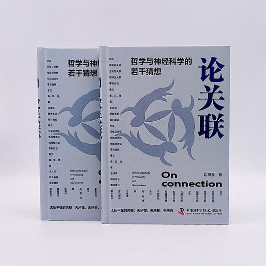 论关联：哲学与神经科学的若干猜想 商品图7