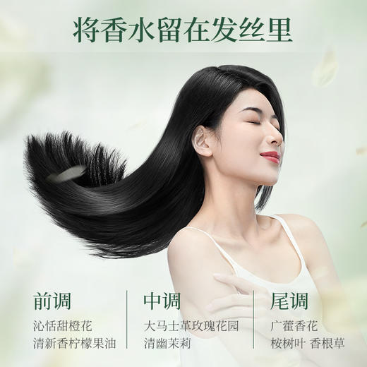 阿道夫茶麸冰护理专研洗发水（祛屑止痒）350ml山海经 商品图2