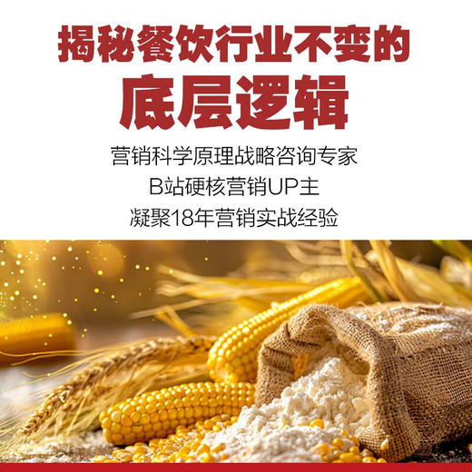 餐饮定类营销实战分析 看懂消费系列（B站硬核营销UP主首部作品！一本够用十几年的餐饮营销法！） 商品图1