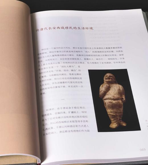 “胡汉中国与外来文明”丛书：《交流卷：绵亘万里长》《艺术卷：拂菻花乱彩》《胡佣卷：绿眼紫髯胡》《民族卷：胡马度阴山》《宗教卷：番僧入华来》，16开，精装，葛承雍著，三联书店2019年一版一印 商品图5