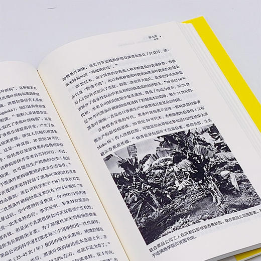 香蕉的报复：洪都拉斯的环境代价，美国的消费增长 商品图9
