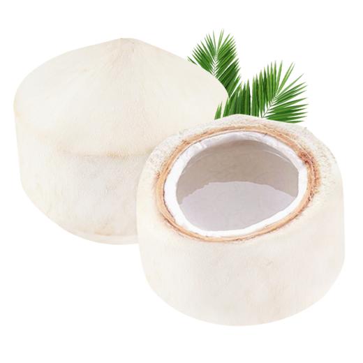 新鲜水果  泰国精品椰青 1枚 商品图0