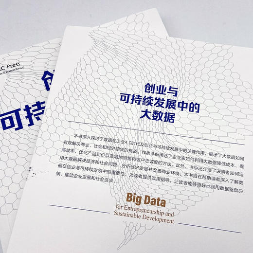 创业与可持续发展中的大数据：揭示大数据驱动商业变革之道 商品图6