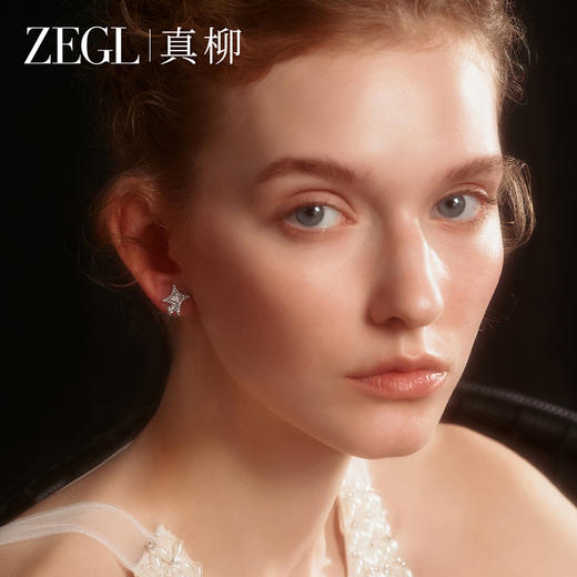 ZEGL设计师微光系列星星耳钉女轻奢高级流苏耳环新款爆款耳坠耳饰 商品图4