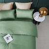 罗莱（LUOLAI） 简粹60S全棉贡缎四件套【HSZBSW5.0】 商品缩略图2