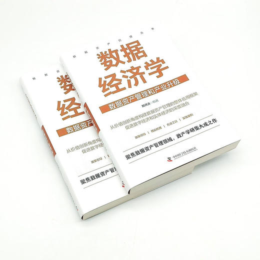 数据经济学 : 数据资产管理和产业升级  数据资产管理丛书 商品图4
