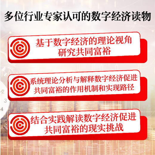 数字经济与共同富裕 商品图2