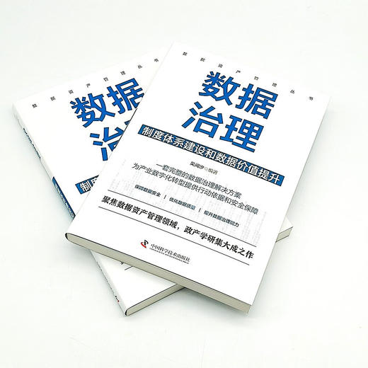 数据治理 : 制度体系建设和数据价值提升  数据资产管理丛书 商品图5