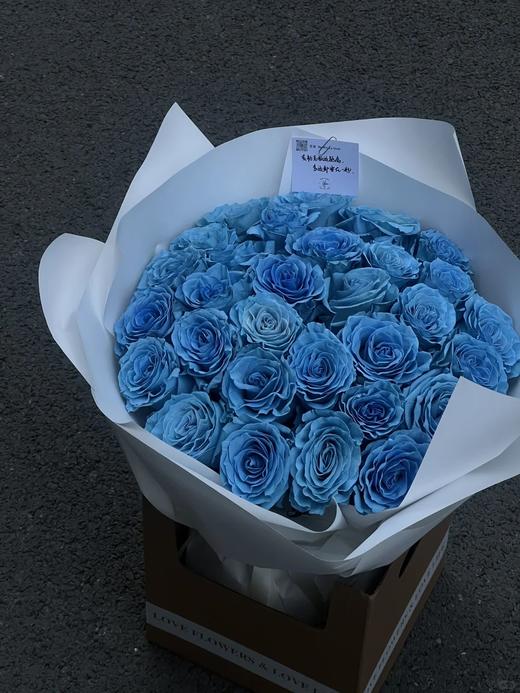 厄瓜多尔进口染色Blue Bell蓝色铃铛
玫瑰花10支 商品图0