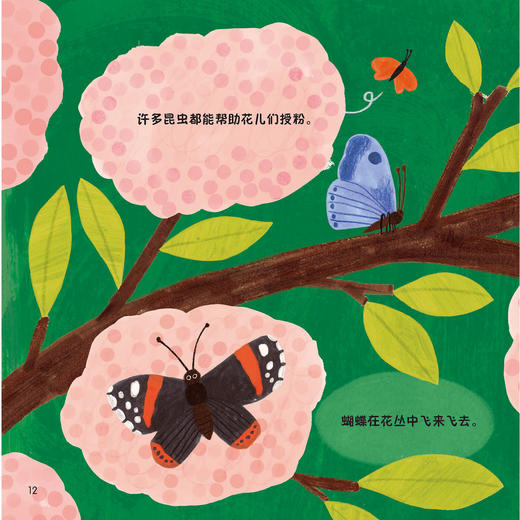 《森林四重奏》（全4册）：《叽叽喳喳的树梢》《热闹的灌木乐园》《昆虫的森林花园》《泥土里的穿行者》 商品图6