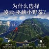 正山堂巴东红骏眉中国 凌云 巫峡小野茶桂圆干香湖北特级红茶罐装50g 商品缩略图4