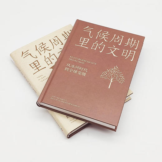气候周期里的文明：从冰河时代到全球变暖 商品图6