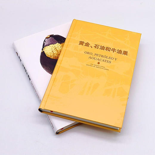 黄金、石油和牛油果：16件商品中的拉丁美洲发展历程 商品图5