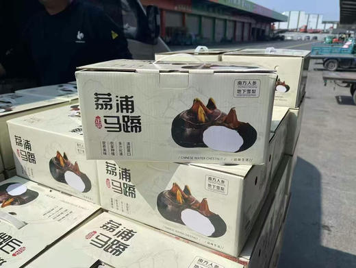 水果马蹄 新鲜采挖季，化渣清甜，又大又甜，清甜爽口，号称“地下雪梨”“江南人参” 商品图6