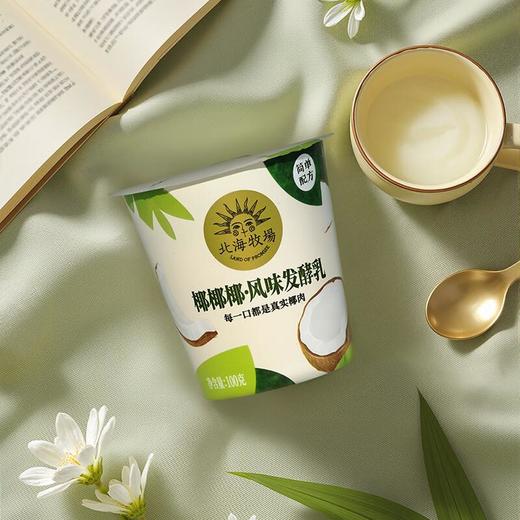 北海牧场椰椰发酵乳酸奶 100g*3/组 商品图2