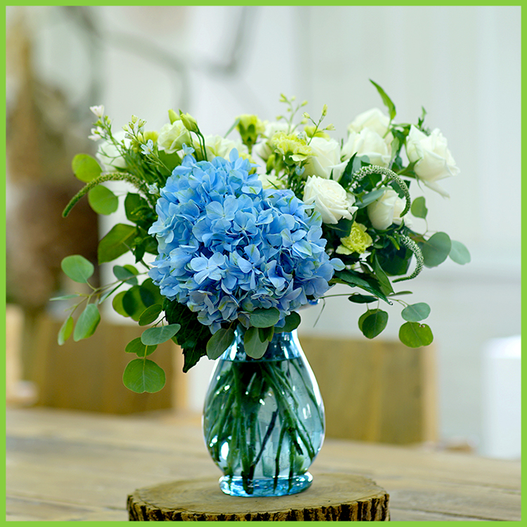 缤纷系列丨每周一花