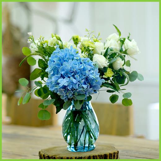 缤纷系列丨每周一花 商品图0