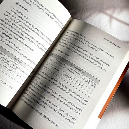 多模态学科实践 新质课程文化丛书 学科课程设计 初中案例 商品图11