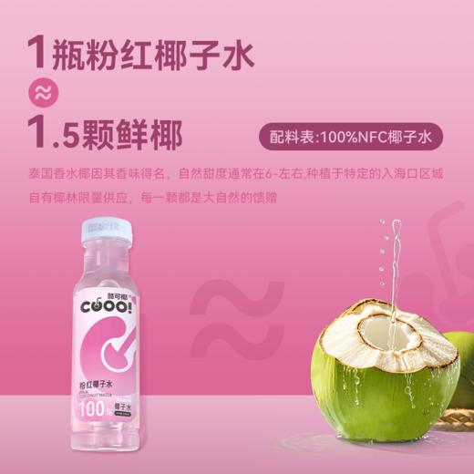 【酷可椰】粉红椰子水（瓶装）300ml（8瓶装/15瓶装可选） 商品图2