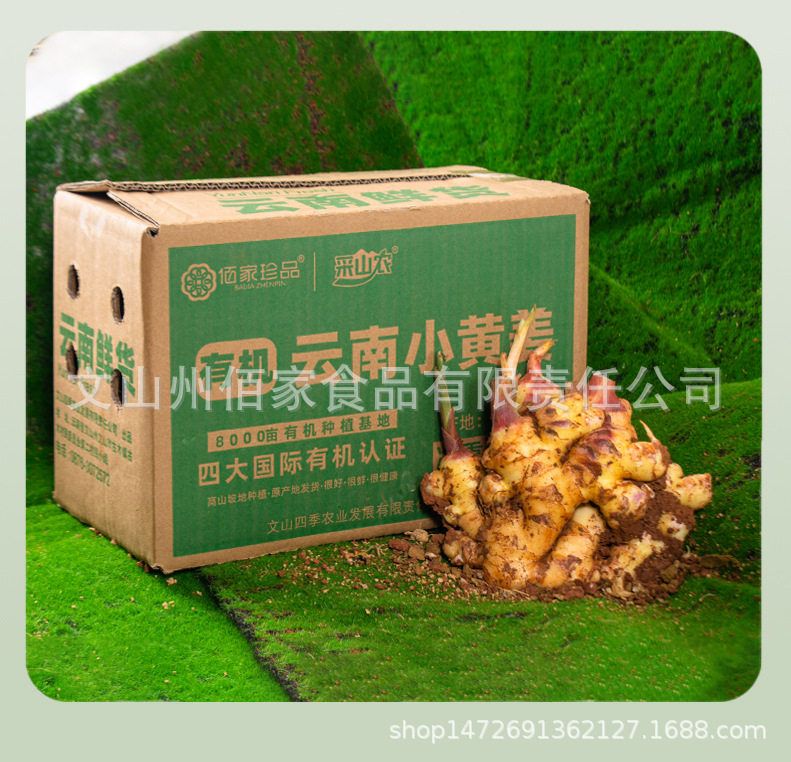 hWuQiv+lytTTaj2CXi/OXvoF6g2fKqgBy6sM