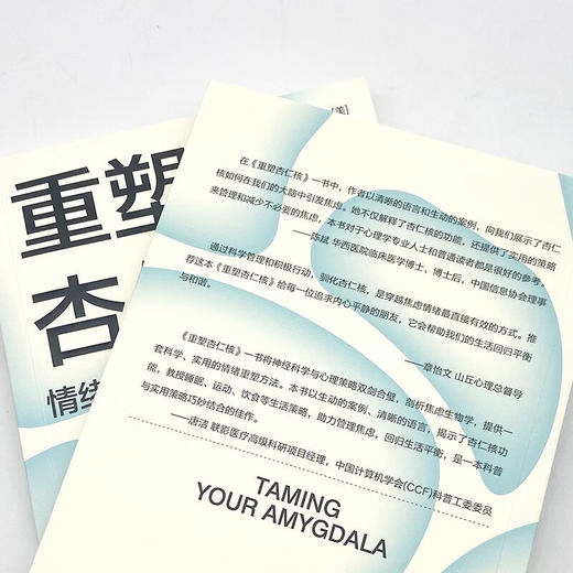 【樊登推荐】重塑杏仁核：情绪修复脑科学（一套科学的大脑训练指南！训练强大内心的自救手册！） 商品图6