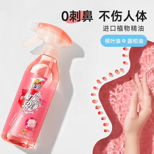 立白威王魔力果净多功能清洁剂520g 商品图2