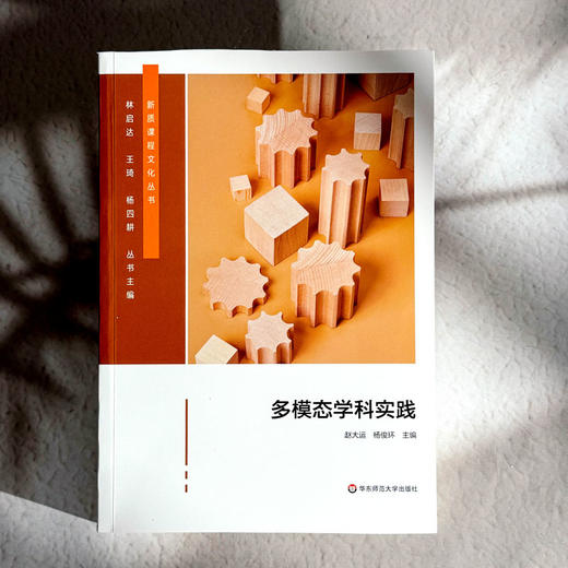 多模态学科实践 新质课程文化丛书 学科课程设计 初中案例 商品图1