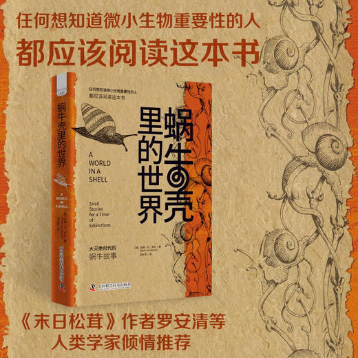 蜗牛壳里的世界：大灭绝时代的蜗牛故事 商品图0