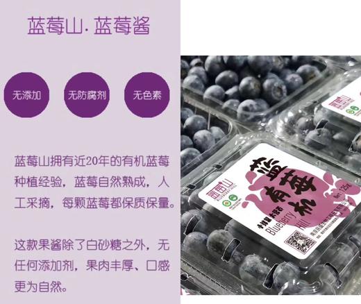 无添加有机蓝莓山新鲜蓝莓酱 商品图2