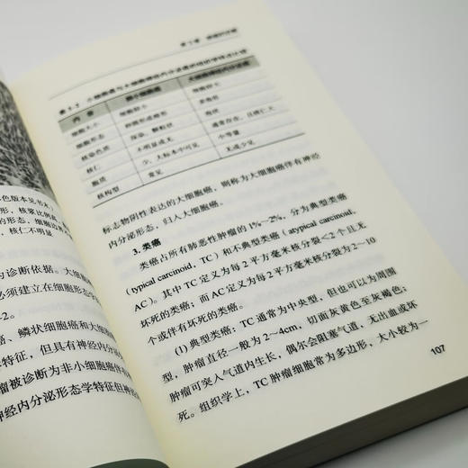 实用肺癌诊疗手册 商品图10