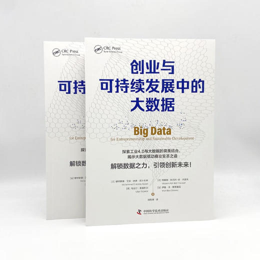 创业与可持续发展中的大数据：揭示大数据驱动商业变革之道 商品图8