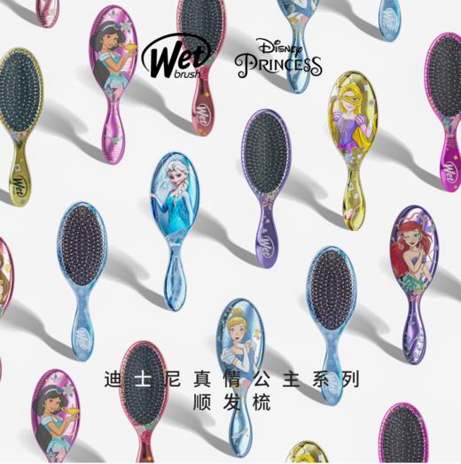 美国Wet Brush真情公主系列 商品图1