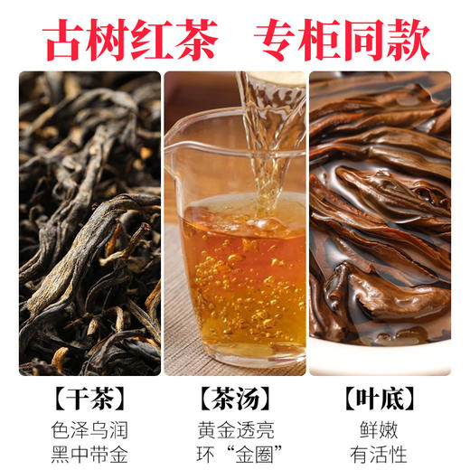凤宁号【古树红茶】云南滇红茶250克300年古树茶 商品图2