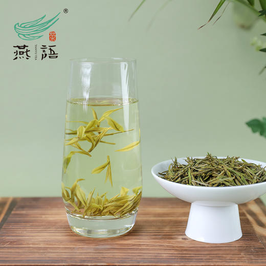 2026年燕语安吉白茶50g（尝鲜装） 商品图3