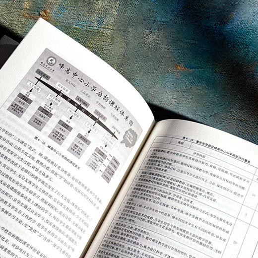 标准与试验 学校现代化标准研制及区域性探索 基础教育学校现代化研究丛书 商品图12