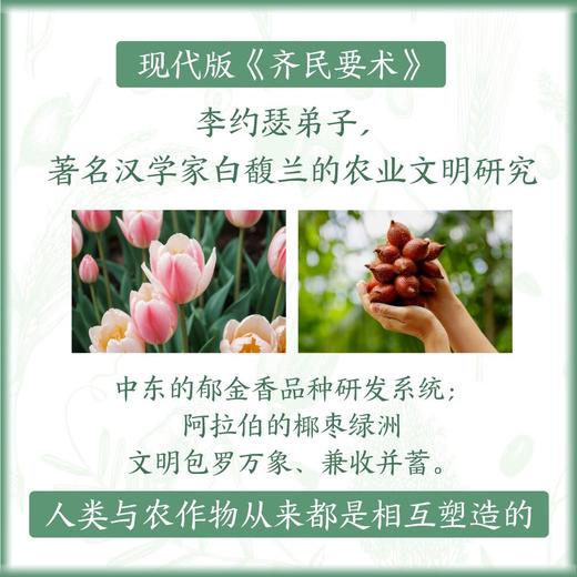 世界文明中的作物迁徙：聚焦亚洲、中东和南美洲被忽视的本土农业文明（汉学家白馥兰新作！） 商品图1