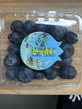 JS（任亿果）莓好时光 蓝莓125g/盒