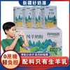 【配料只有生羊乳 0添加】食尚丝路全脂纯羊奶粉高钙无蔗糖320ml/盒 商品缩略图0