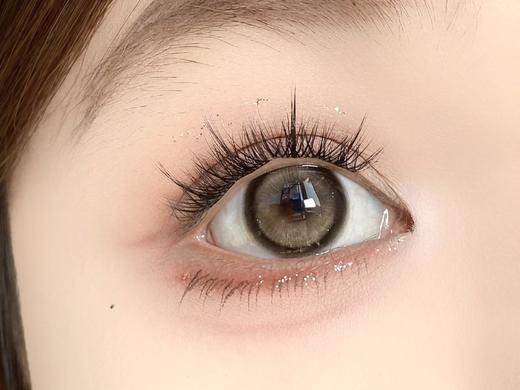 Doragina旗下半年抛 · 柔金茶棕&迷路月光｜14.5mm白狮参考着色中大直径  半年抛｜ icodi工厂 商品图2