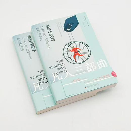 激情的陷阱：过度工作、理想工人和劳动回报 商品图6