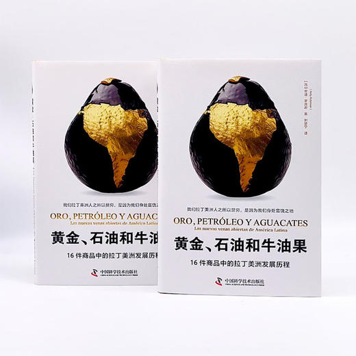 黄金、石油和牛油果：16件商品中的拉丁美洲发展历程 商品图6