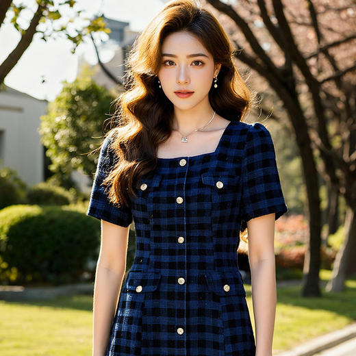 奢姿大码女装2025新款夏季胖妹妹法式收腰复古格子通勤气质连衣裙9952853136 商品图2