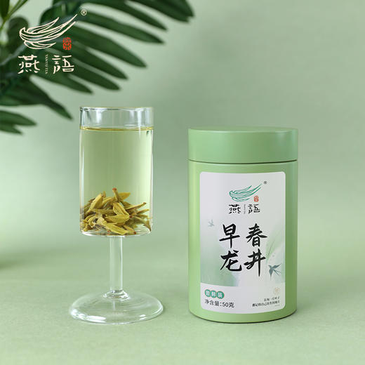 燕语早春龙井绿茶礼盒180g 商品图4
