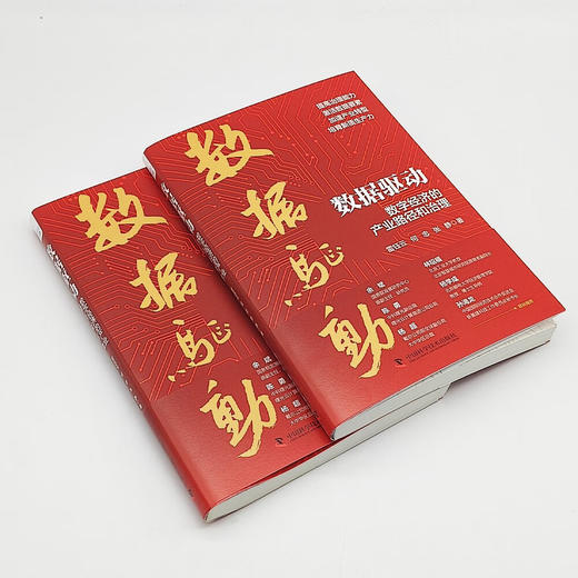 数据驱动：数字经济的产业路径和治理 商品图5