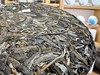 2024 天门山单株 古树纯料 森林味 200克 普洱生茶 商品缩略图3