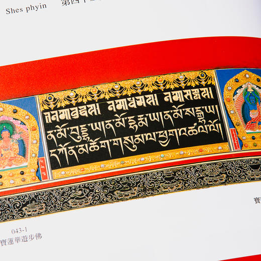 【绝版好书】《龙藏经 图像之部Ⅰ、Ⅱ》八开精装厚册，2022年台北故宫博物院初版 商品图12