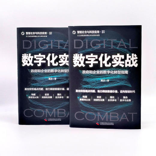 数字化实战：政府和企业的数字化转型指南  智能社会与科技应用系列图书 商品图7