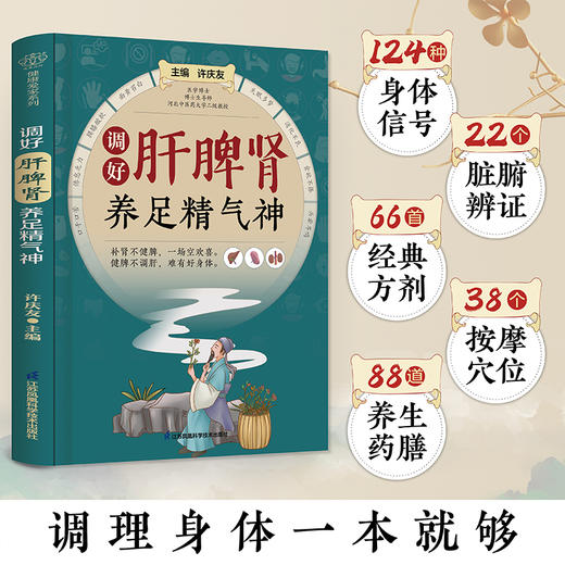 调好肝脾肾  养足精气神 商品图0